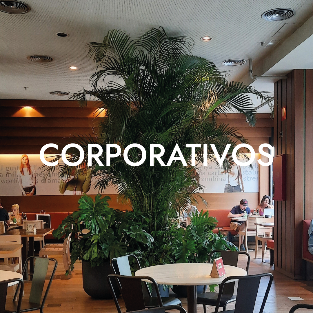 corporativos