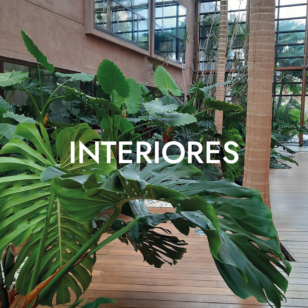interiores